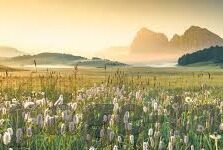 抖阴av一区二区天美传媒小说-AV与成人世界的灰色地带，探索抖阴、天美传媒与小说之间的微妙关系